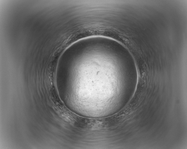 X0000059800772200510241328