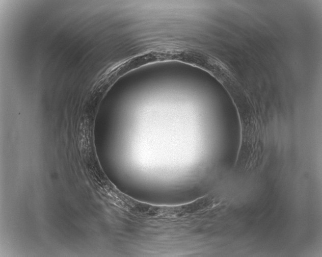 X0000059800773200510241328