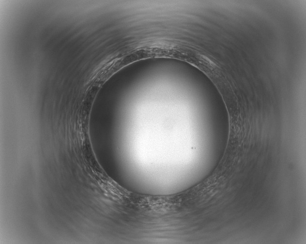 X0000059800774200510241328