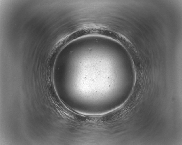 X0000059800775200510241328