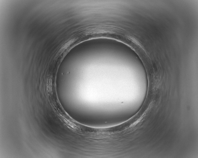 X0000059800777200510241328