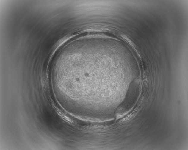 X0000059800779200510241328