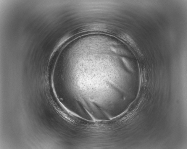 X0000059800780200510241328