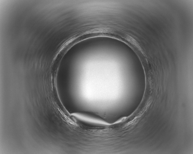 X0000059800781200510241328