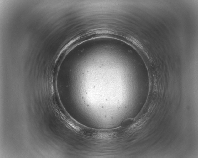 X0000059800782200510241328