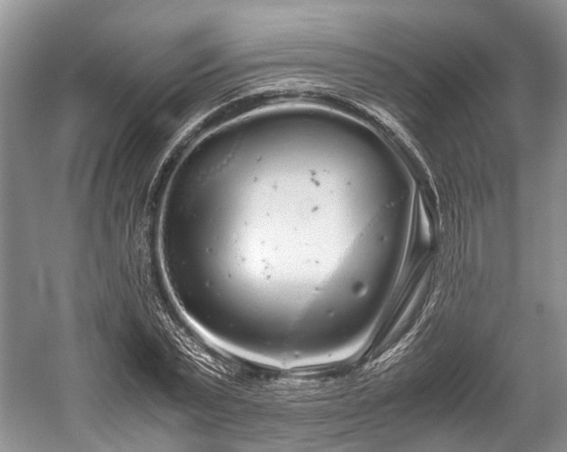 X0000059800783200510241328