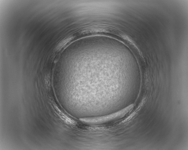 X0000059800785200510241328