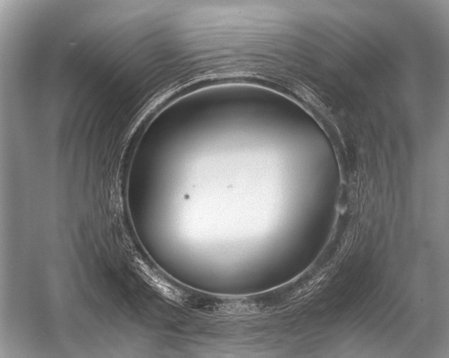 X0000059800789200510241328