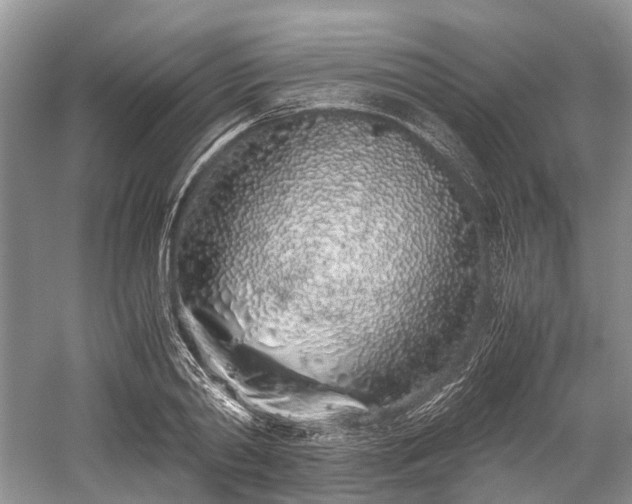 X0000059800790200510241328