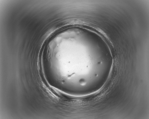 X0000059800791200510241328