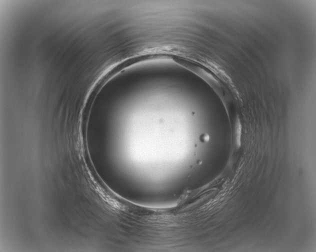 X0000059800792200510241328