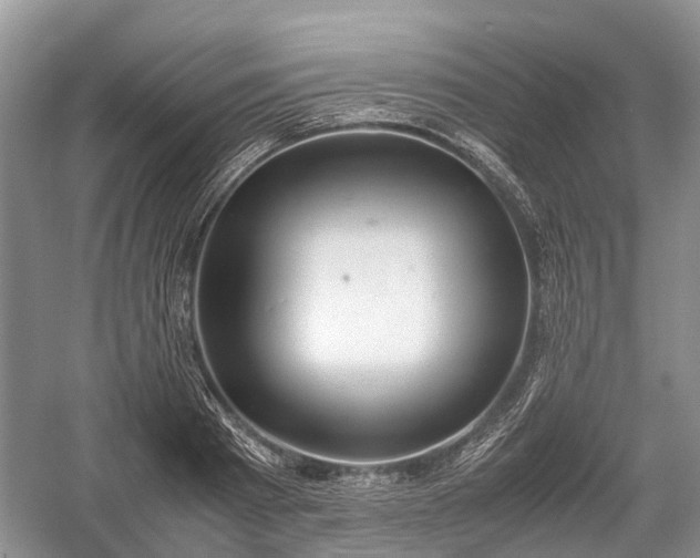 X0000059800793200510241328