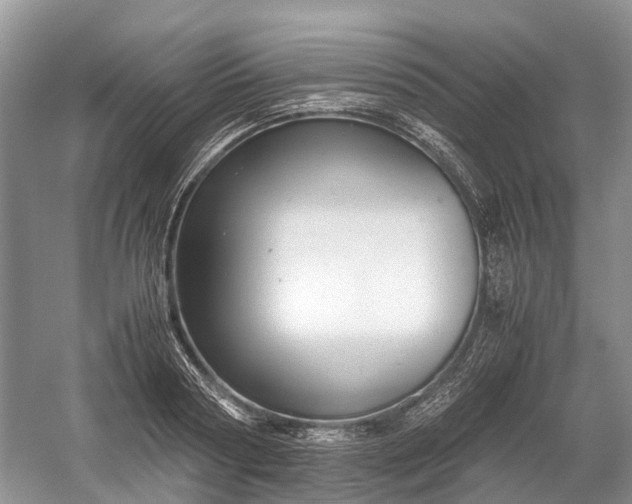 X0000059800794200510241328