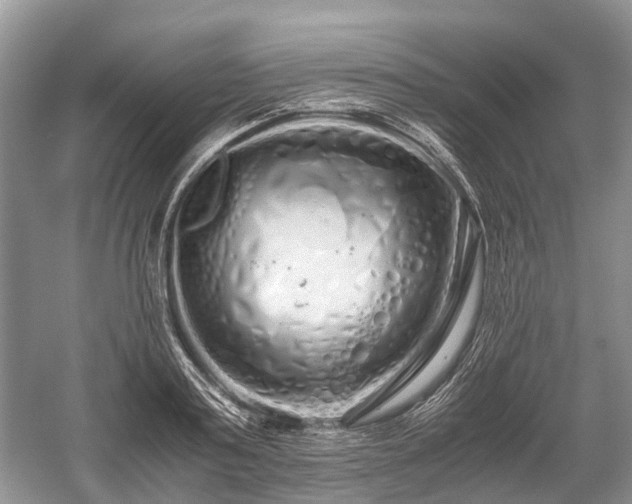 X0000059800795200510241328