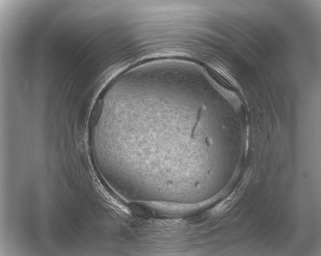 X0000059800797200510241328