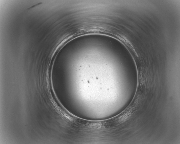 X0000059800798200510241328