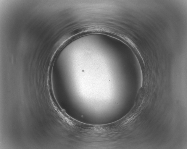 X0000059800799200510241328