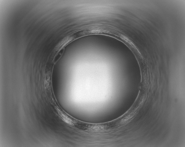 X0000059800801200510241328