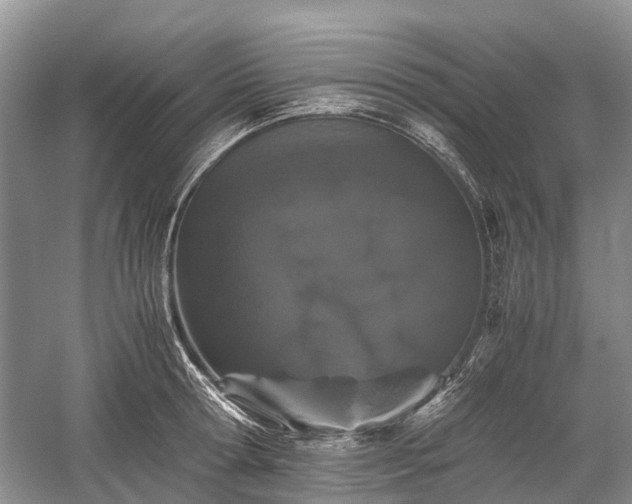 X0000059800802200510241328