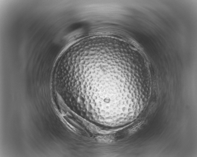 X0000059800803200510241328