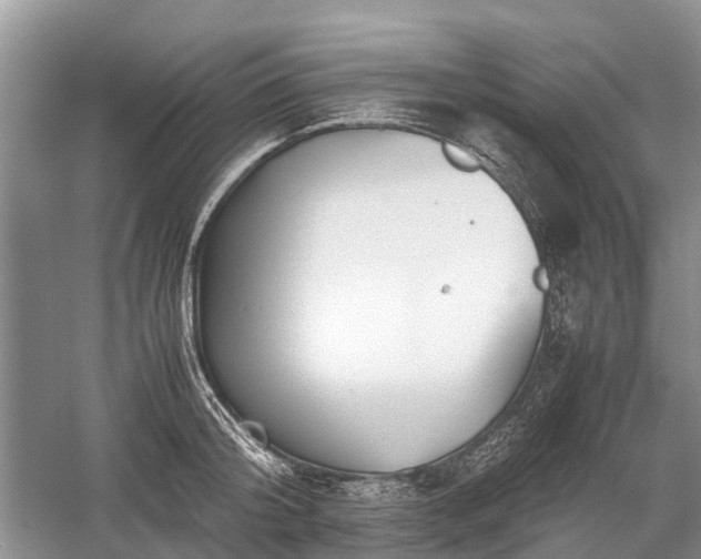 X0000059800804200510241328