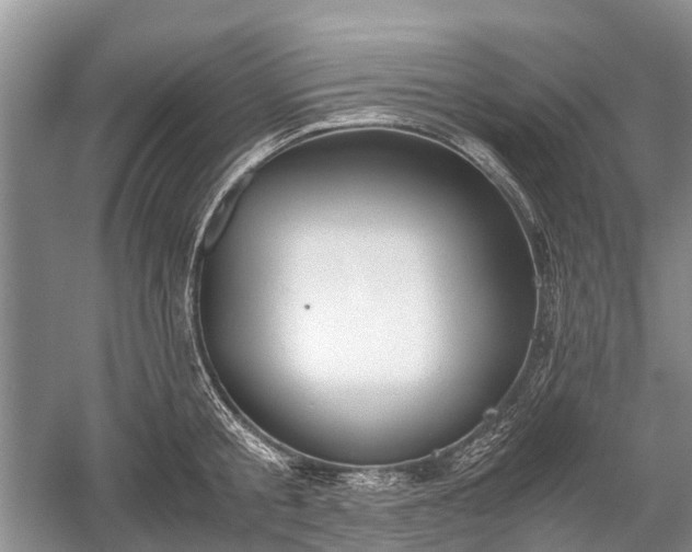 X0000059800805200510241328