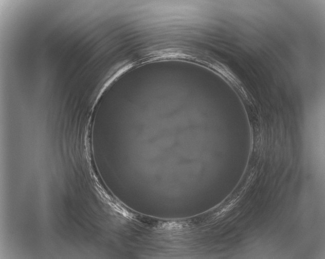 X0000059800806200510241327