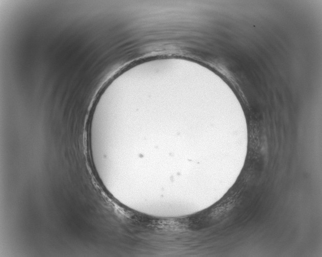 X0000059800807200510241327