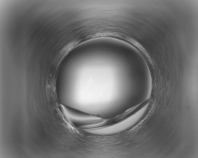 X0000059800809200510241327