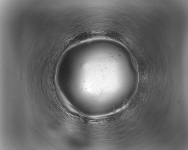 X0000059800817200510241327