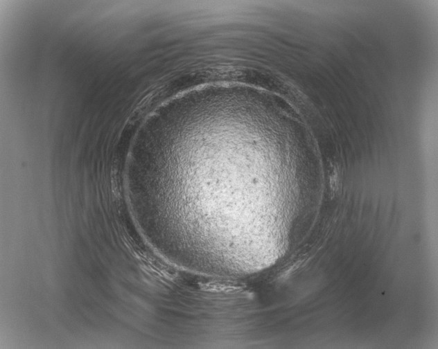 X0000059800819200510241327