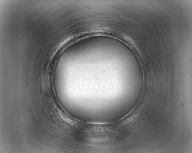 X0000059800827200510241327