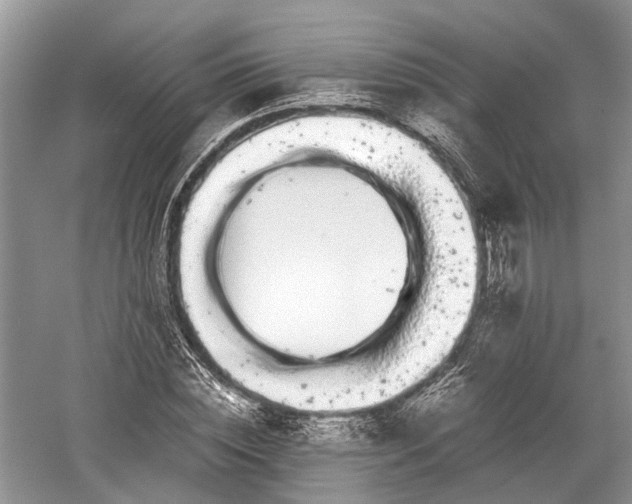 X0000059800828200510241327