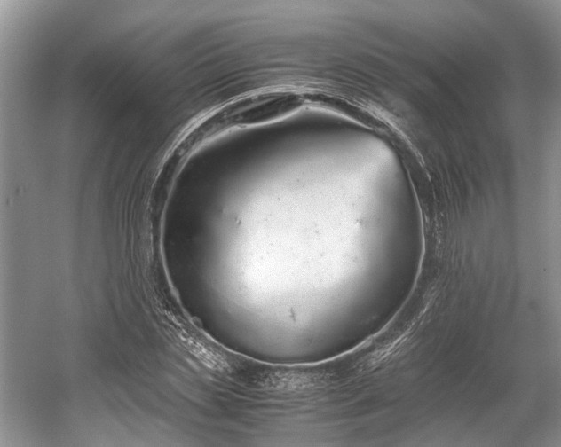 X0000059800829200510241327