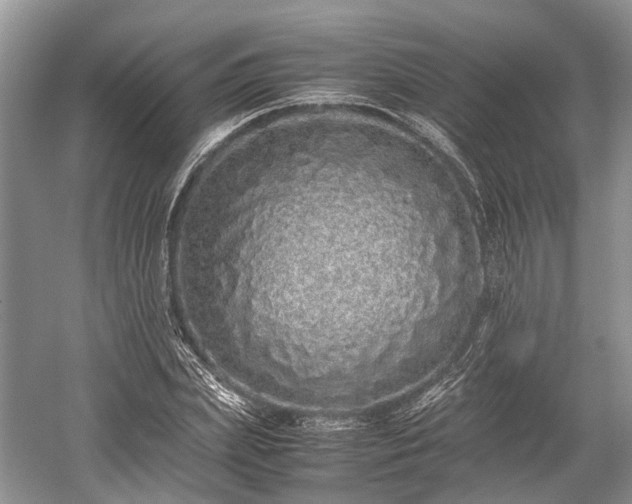 X0000059800831200510241327