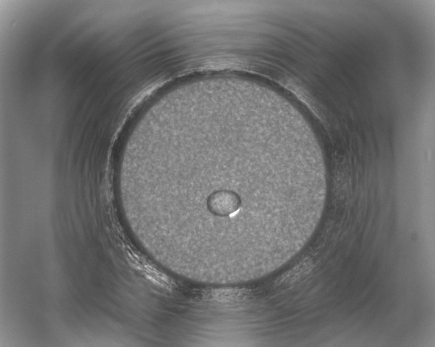 X0000059800832200510241327