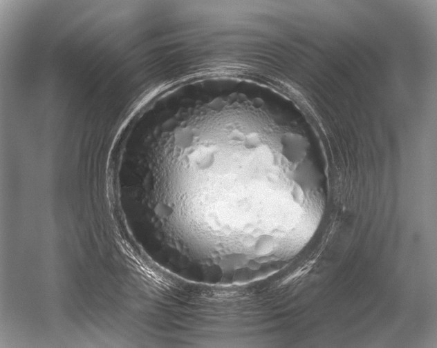 X0000059800835200510241327