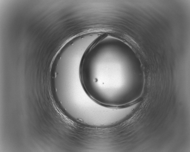 X0000059800836200510241327