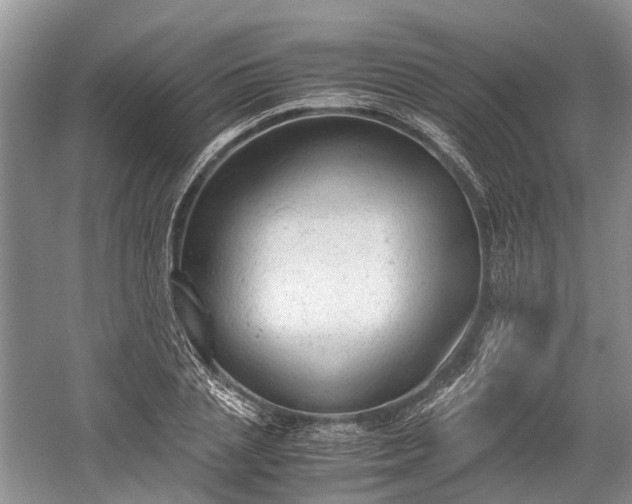 X0000059800837200510241327