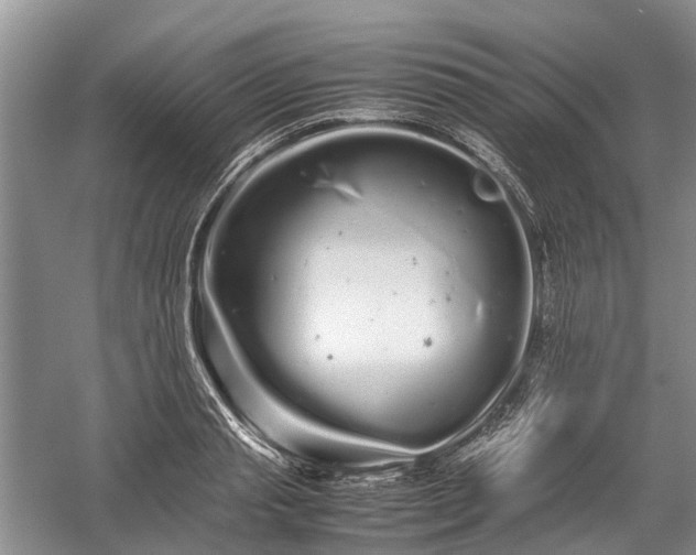 X0000059800845200510241327