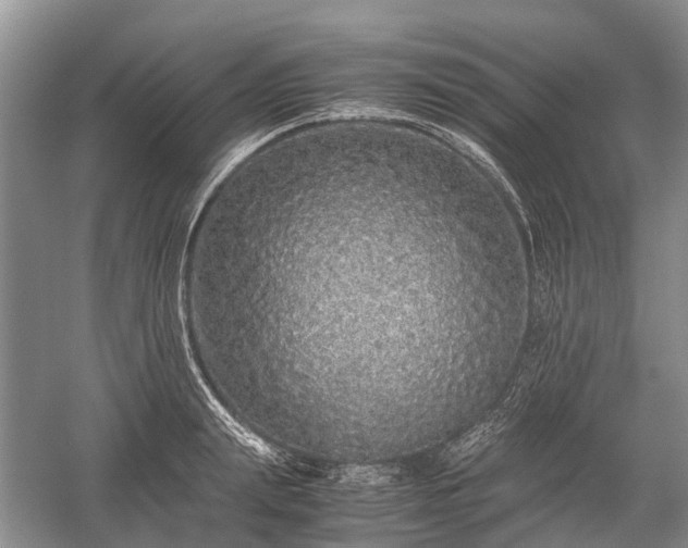 X0000059800847200510241327