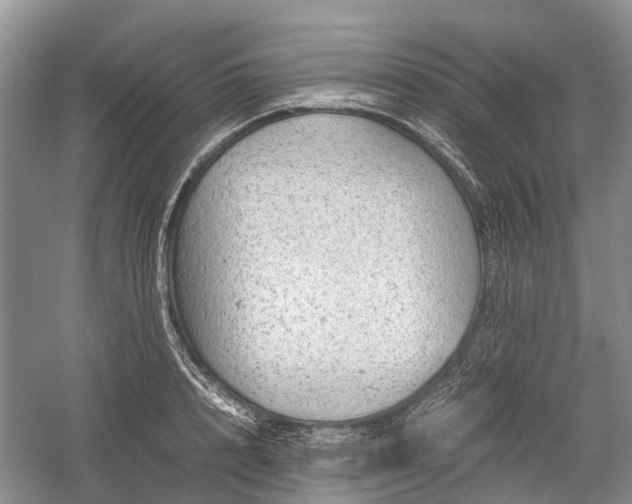 X0000059800848200510241327