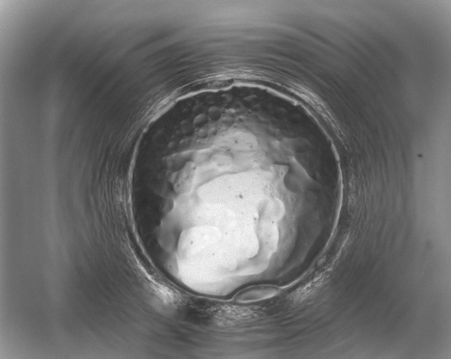 X0000059800849200510241327