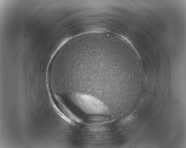 X0000059800851200510241327