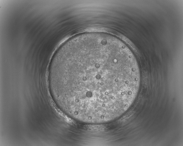 X0000059800856200510241327