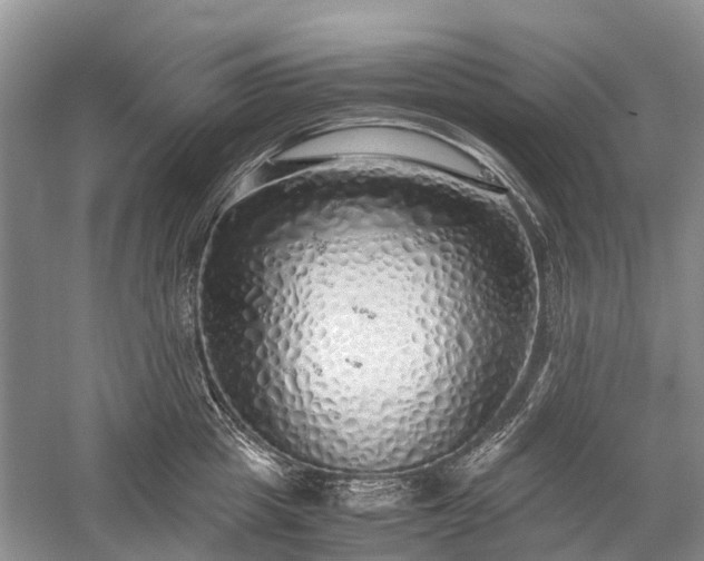 X0000059800857200510241327