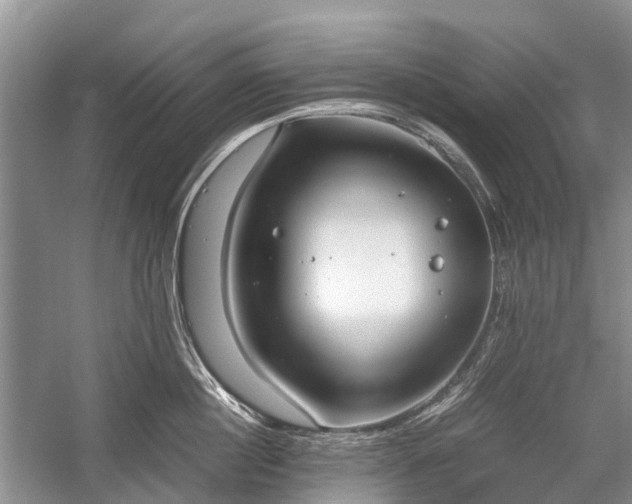 X0000059800860200510241327