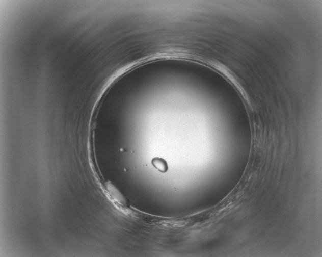 X0000059800861200510241327