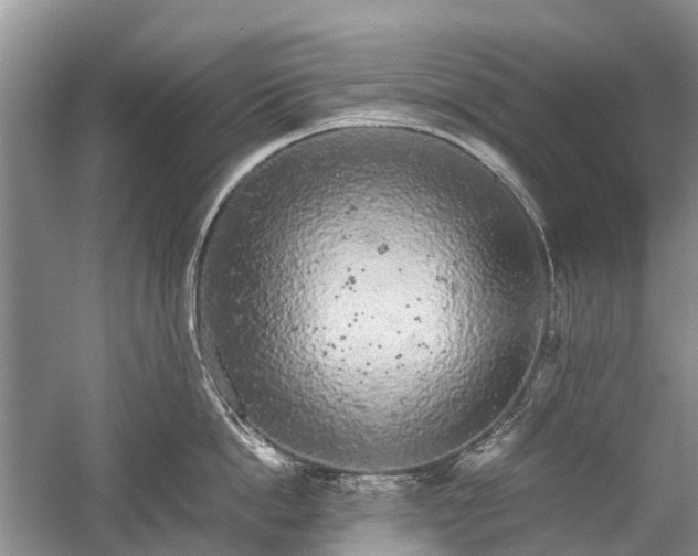 X0000059800862200510241327