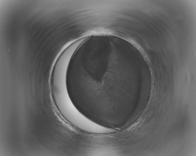 X0000059800864200510241327